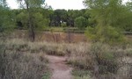 photo thumbnail #4