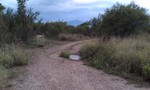 photo thumbnail #6