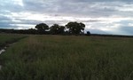 photo thumbnail #8