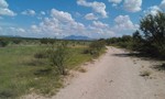 photo thumbnail #10