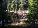 photo thumbnail #3