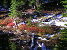 photo thumbnail #4