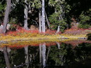 photo thumbnail #8