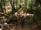 photo thumbnail #4