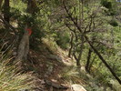 photo thumbnail #10