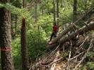 photo thumbnail #11