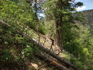 photo thumbnail #12