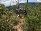 photo thumbnail #13