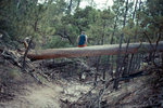 photo thumbnail #9