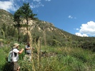 photo thumbnail #3