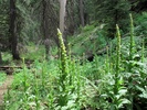 photo thumbnail #1