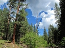 photo thumbnail #2