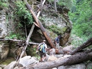 photo thumbnail #6
