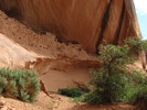 photo thumbnail #13