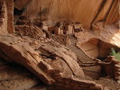 photo thumbnail #15