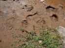 photo thumbnail #13