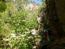 photo thumbnail #6