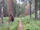 photo thumbnail #6