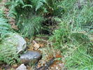 photo thumbnail #8