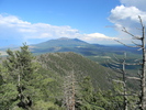 photo thumbnail #6