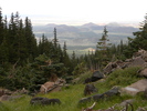 photo thumbnail #2