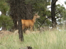 photo thumbnail #8