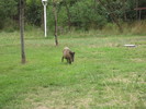 photo thumbnail #4