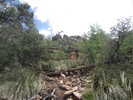 photo thumbnail #6