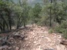 photo thumbnail #15