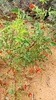 2012-08-04 :2: Keet Seel :: Al_HikesAZ