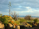 photo thumbnail #15