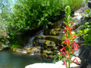 photo thumbnail #8
