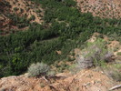 photo thumbnail #10