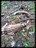 photo thumbnail #2