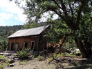 photo thumbnail #6