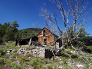 photo thumbnail #8
