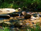 photo thumbnail #14