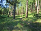 photo thumbnail #3