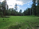 photo thumbnail #7