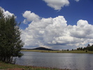 recent photo