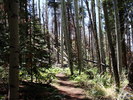 photo thumbnail #6