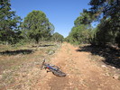 photo thumbnail #2