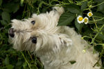 photo thumbnail #10