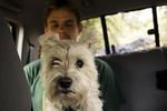 photo thumbnail #14