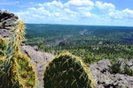 photo thumbnail #11