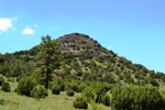 photo thumbnail #12