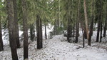 photo thumbnail #10
