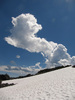 photo thumbnail #14