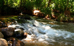 photo thumbnail #7