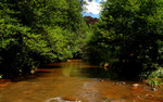 photo thumbnail #12